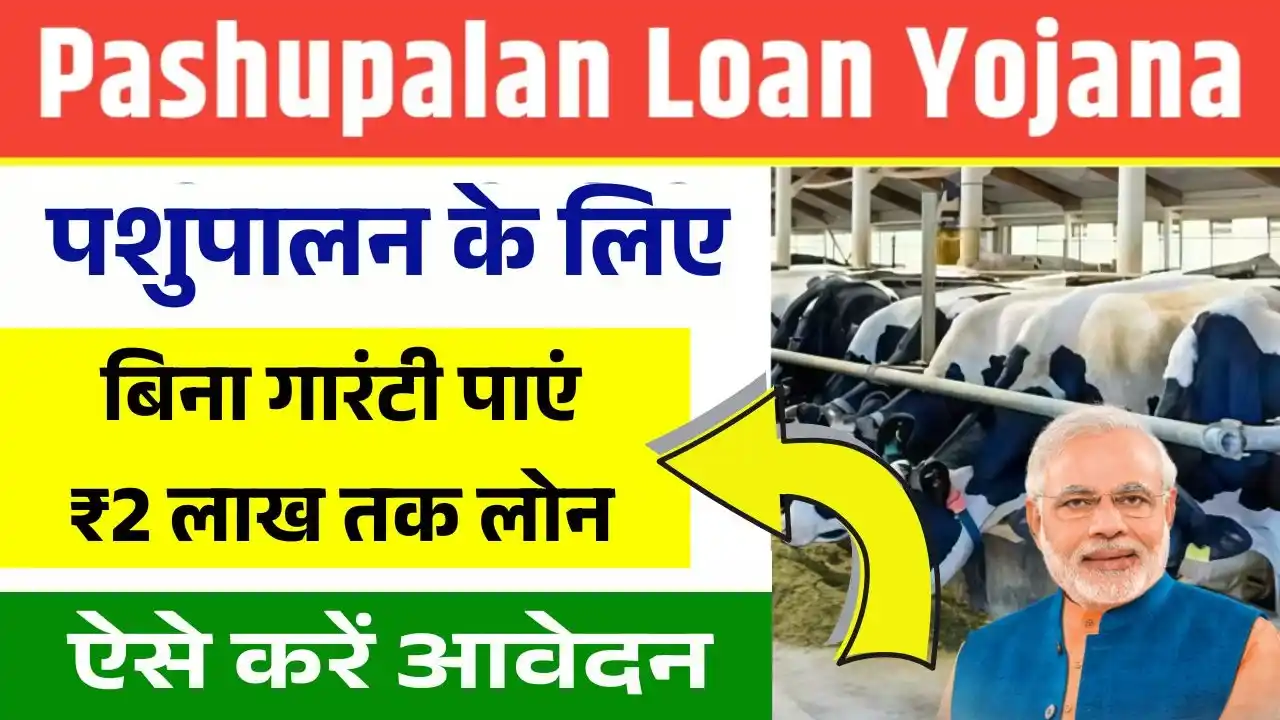 Pashupalan Loan